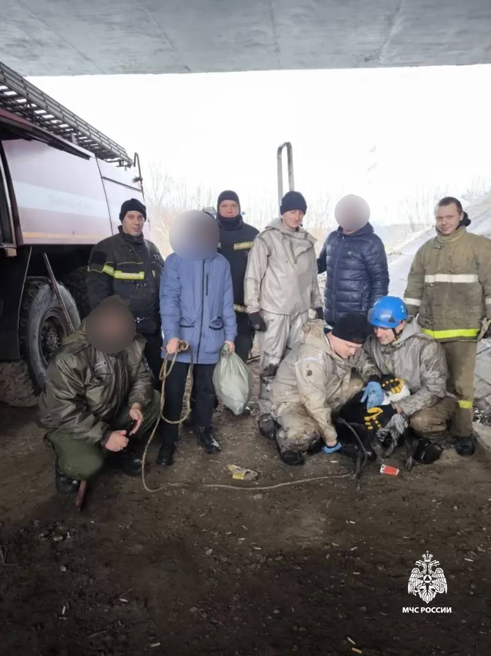 Неожиданное спасение под Восточным мостом в Твери! Неожиданное спасение под Восточным мостом в Твери!