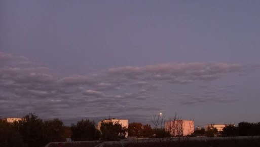 В Твери обломки беспилотника упали на парковку у торгового центра