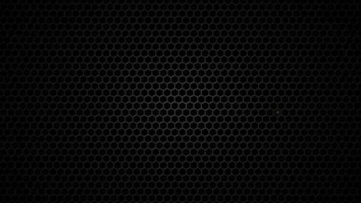 Тверичанка отдала 750 000 рублей, чтобы обновить данные её и ребёнка в поликлинике