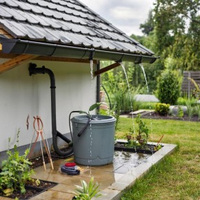 Эффективный сбор дождевой воды: советы для садоводов