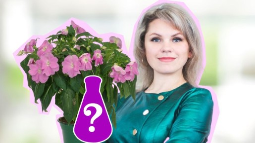 Не все знают об этой чудо-подкормке для цветов: растения оживут после двух поливов