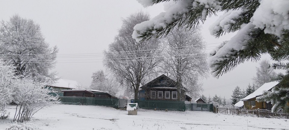 Стало известно, где в Тверской области есть снег Стало известно, где в Тверской области есть снег