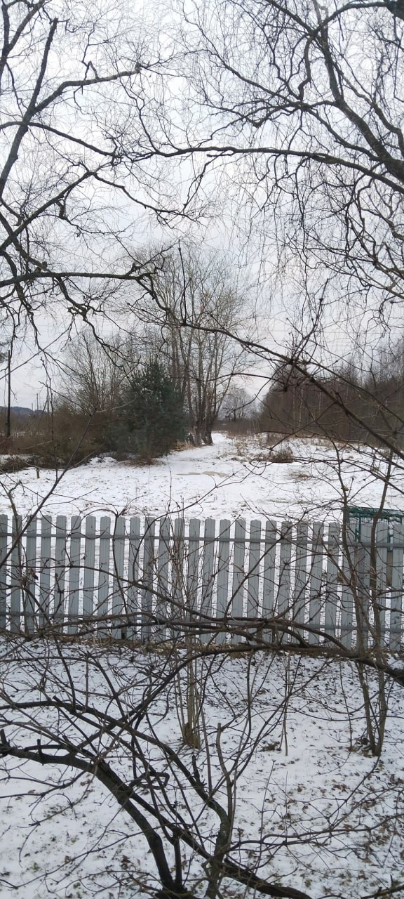 Стало известно, где в Тверской области есть снег Стало известно, где в Тверской области есть снег