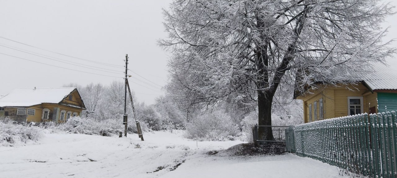 Стало известно, где в Тверской области есть снег Стало известно, где в Тверской области есть снег