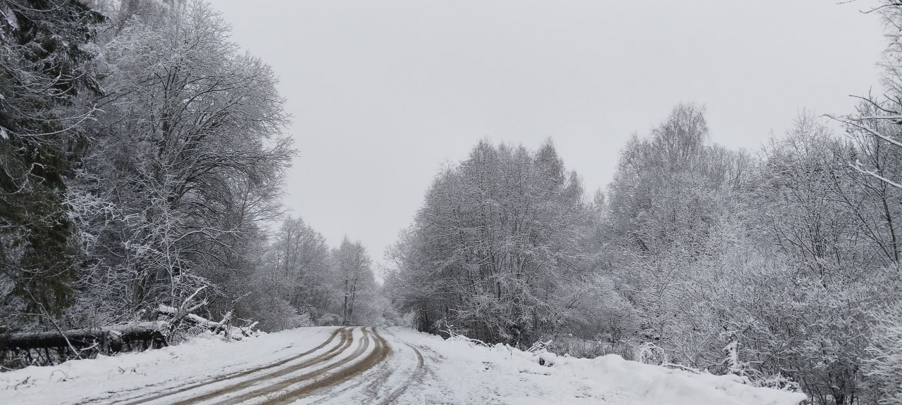 Стало известно, где в Тверской области есть снег Стало известно, где в Тверской области есть снег