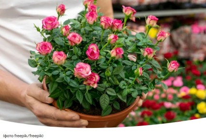 ��� ��������� ������� ��� � ������� �����: ������� ����� ��� �������� �����