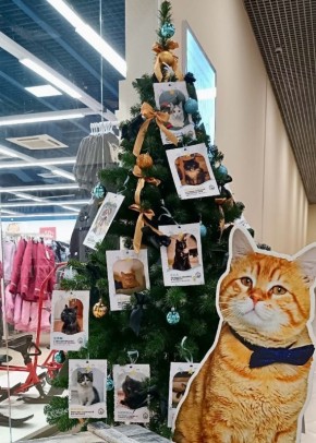 ������ ���� ������ �� ��������� ������: � ����� ��������� ���� ���� ��������