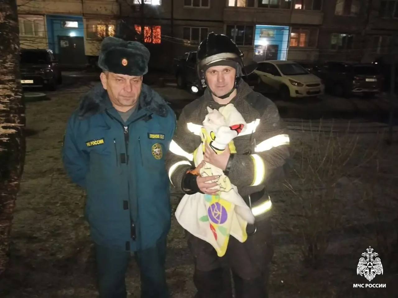 Вновь добрые новости из области Вновь добрые новости из области