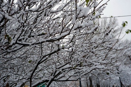 �������� ������������ ����������� ������� ���� � �������� ��������� ������