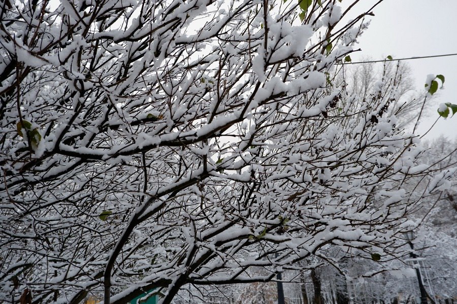 Синоптик прогнозирует возвращение снежной зимы в середине следующей недели