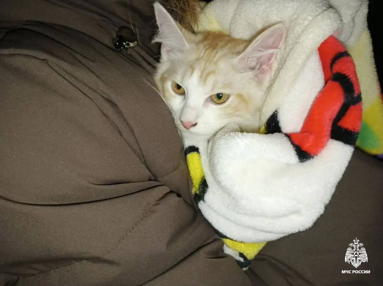 Вновь добрые новости из области Вновь добрые новости из области