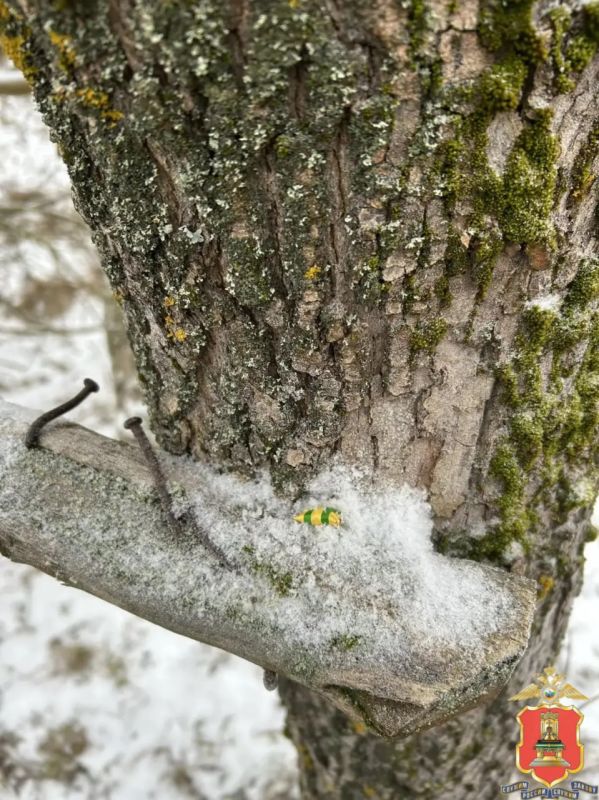 ������� �� ������� ��������-�������: � ������ ����������� ��������� ���������������