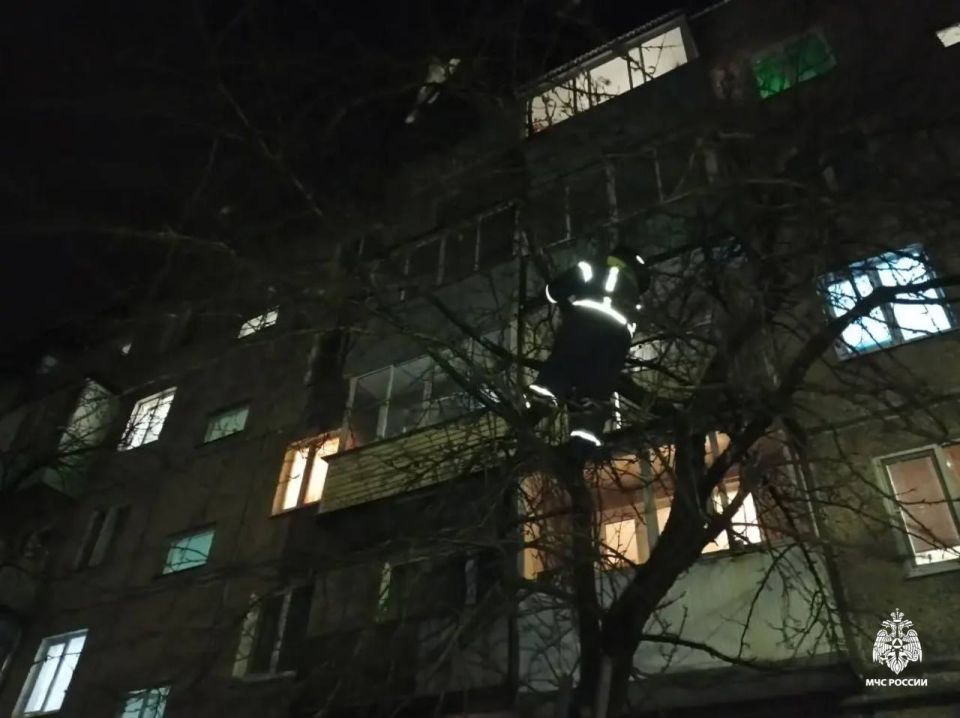 ����� ������ ������� �� �������