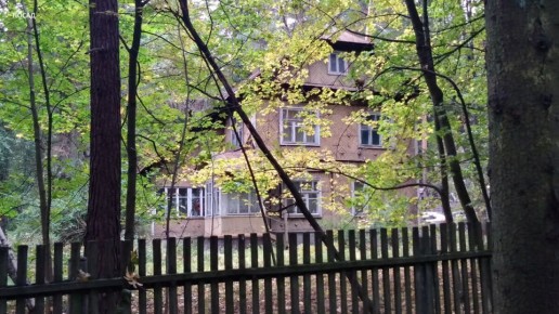 Как дачи стали символом советской эпохи: история и загадки