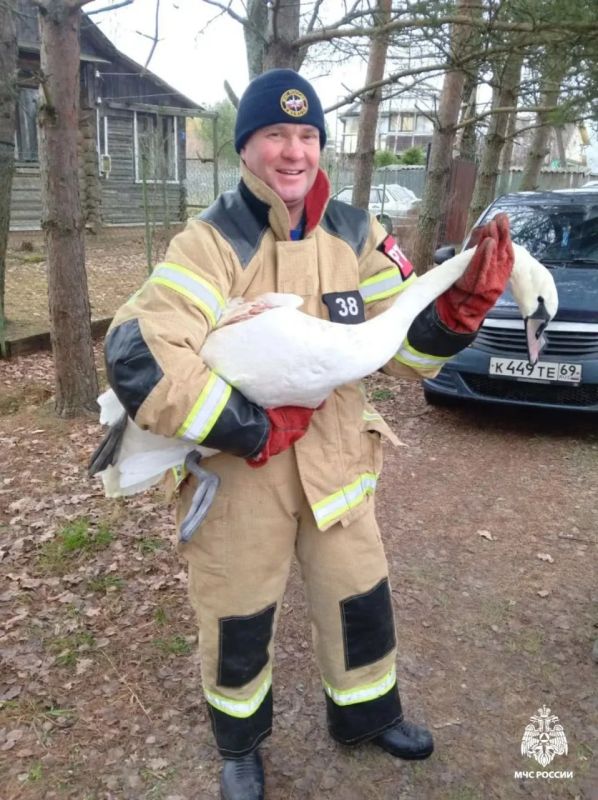 ����� �������: �� ����� � �������� ������� ������ �������� ������