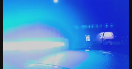 155 ���������: ����� ���� ����������������� ����������� ��������