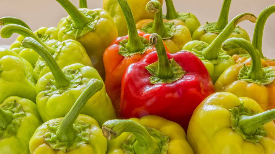 ����� ������� �� �������� ����� ���������� �� ��������� �����: ��������� �� 10 �����