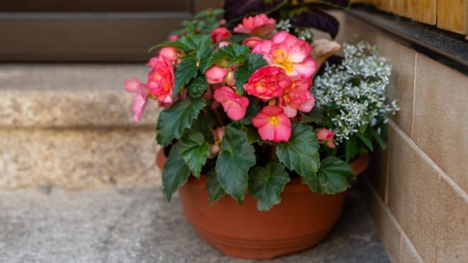 2 �������� ������ ����� � ��������� �������: ��������� �� ��������� ���� �������