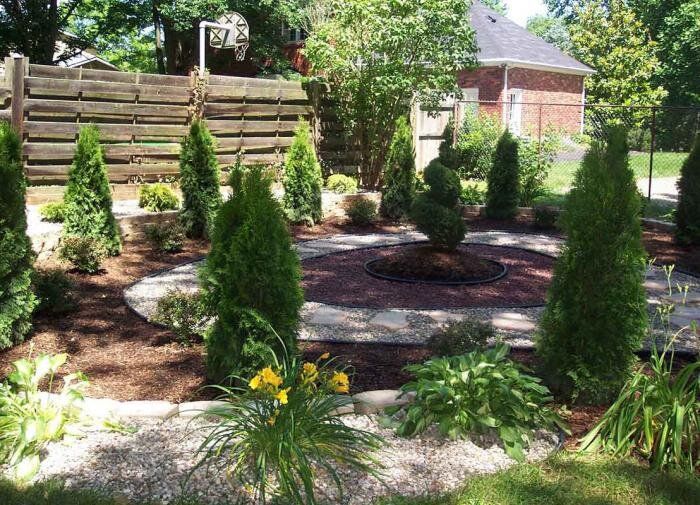 Секреты успешной посадки саженцев летом