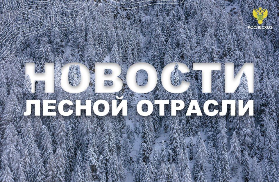 ЛПК Сибири: Рослесхоз ввел новые электронные формы для подачи лесных документов на ЕПГУ