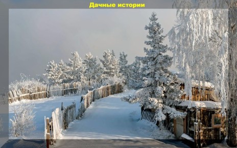 ������ ������� �������� ����������� ������� ������������������ ������?