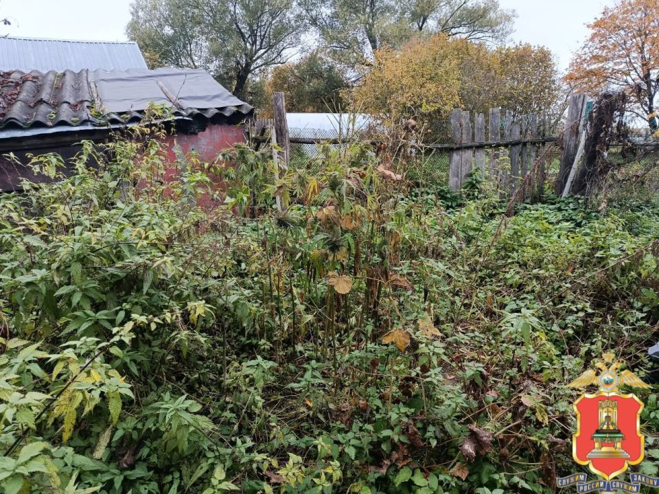 � ������ ���������� ������ ����������� ���������� ������ �������