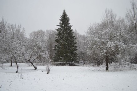 ������ ������ �� ������ �������: ������� ���������� ������