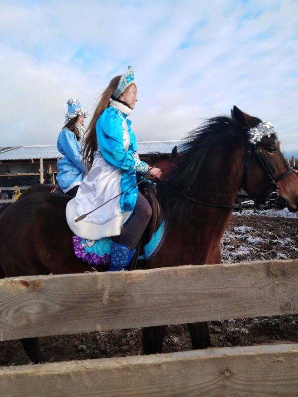 Лошадь 2026 года: всё, что следует знать о символе этого года