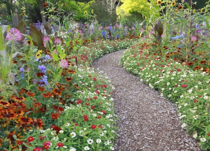 ���������� ���� ��� ������� �������: ��� ���������� ��� ��� � ������