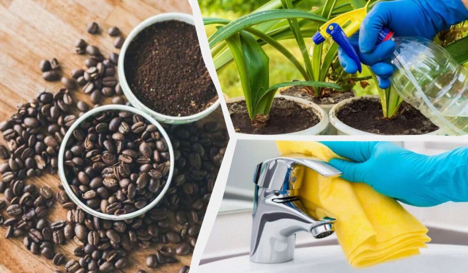 �� ������� ����������� �������� ����: 7 ���������� �������� �� �������������