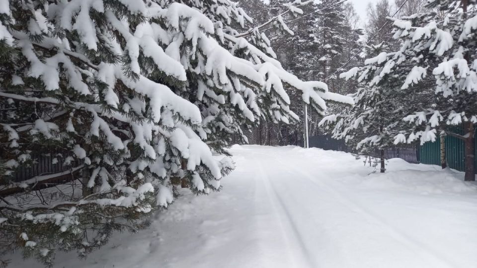 Стало известно, какой будет погода в Твери и области в новогоднюю ночь