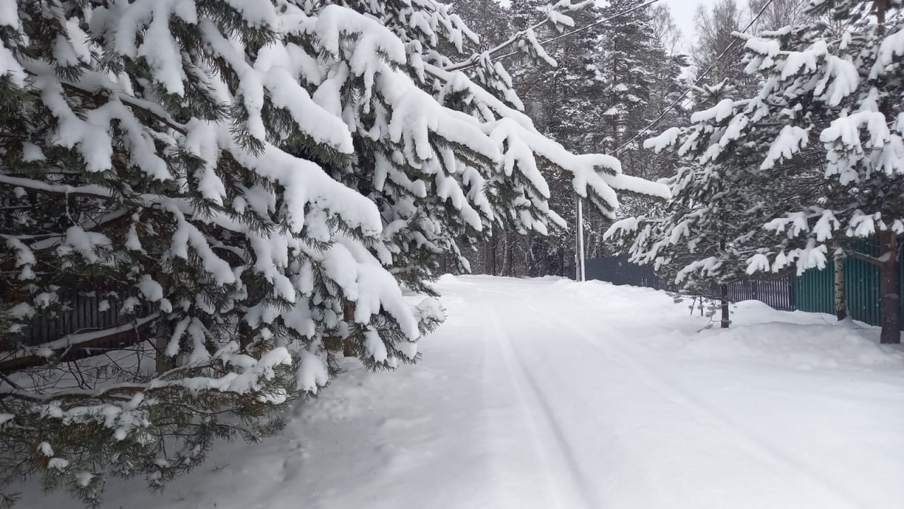 Стало известно, какой будет погода в Твери и области в новогоднюю ночь