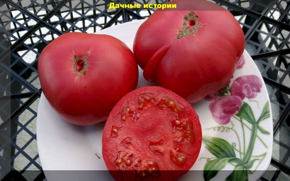 Секреты успешного сбора семян томатов: советы для дачников