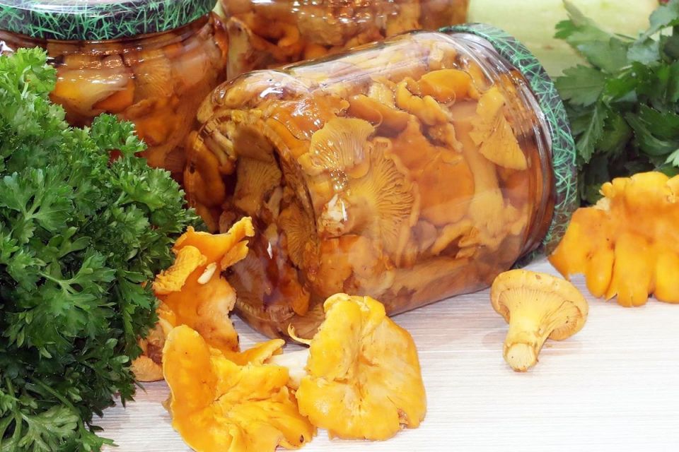 Как приготовить маринованные лисички на зиму: секреты и советы