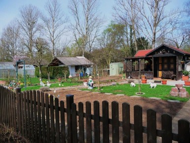 ��������-������������: ��� ������� ������� ����� ����� ������