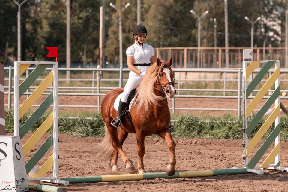 Тверской огненный красавец Репа рассказал, каким будет новый 2026 год