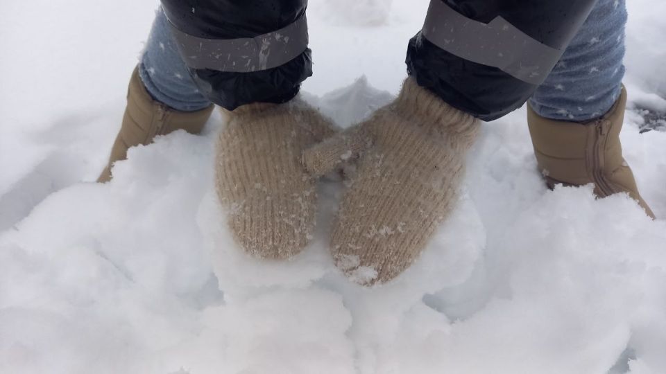 ���������� ��������: ��������� ���� �������� ������������