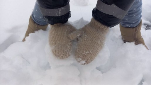 ���������� ��������: ��������� ���� �������� ������������