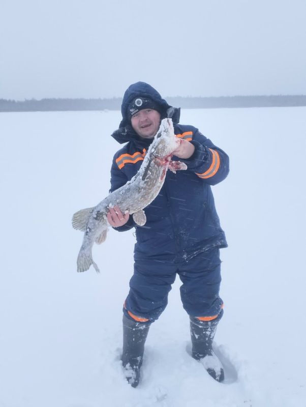 Предновогодний трофей: накануне праздника тверской рыбак поймал здоровенную щуку