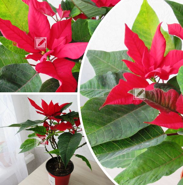 ����������: ��� ������� ������ ������ � ����� ���� � 2026 ����