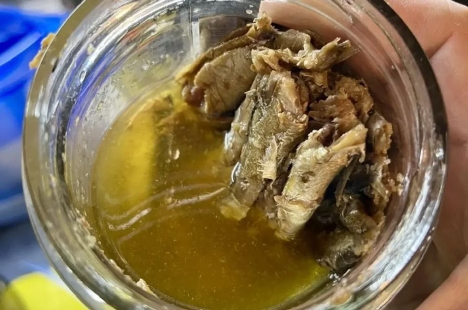 ����������� ���� ���� �� ���� ���������: ���������� ����� � ������� ����������� "�������"