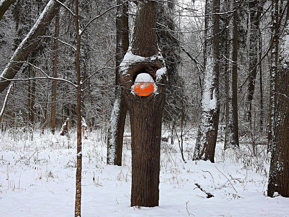 � ����� �� �������� ��������� �����