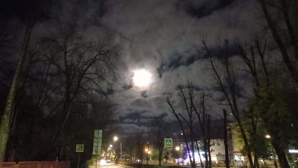 ��� �������� �������� ������� ���������� �������� ������ ����