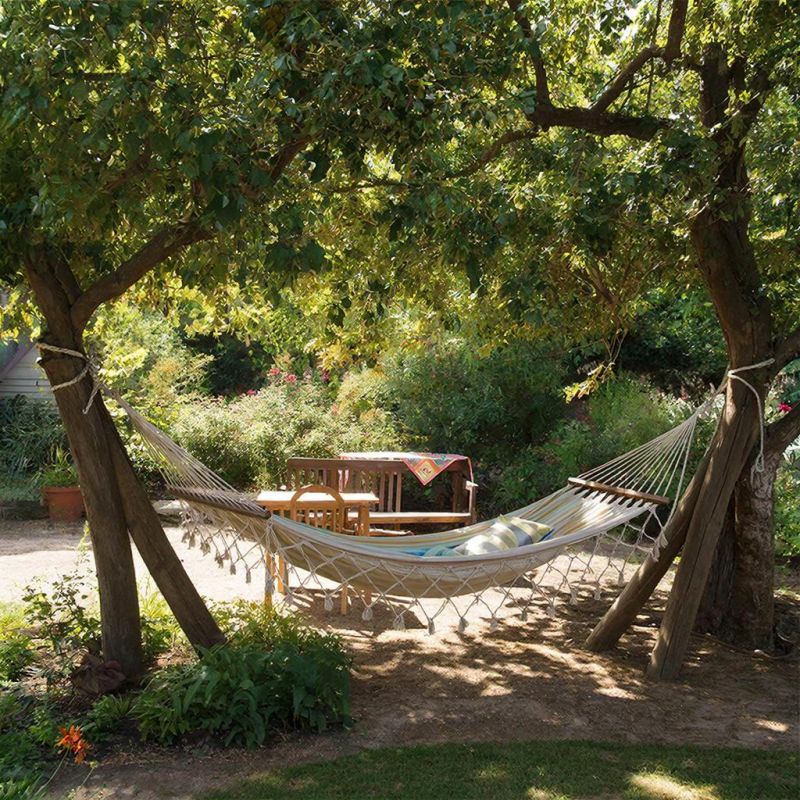 ������� ��� �� ����: ��� ������� ����� �� ������� �����