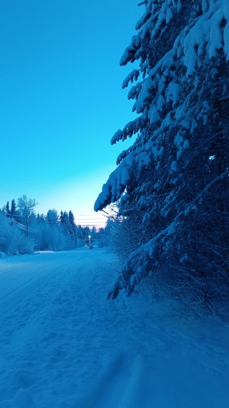 � 65 ��� ����� ������ ����������: �������� ������ ���� � ���������� ��������