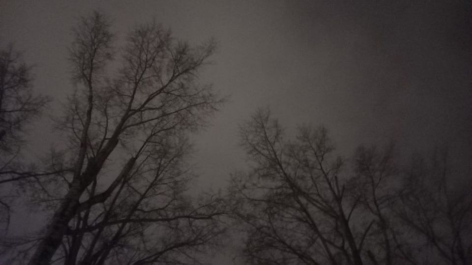 ��� �������� �������� ������� ����� ���� ���������� ��������� ����