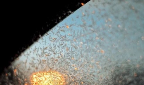 � �������� ������� ��������� ������� ������