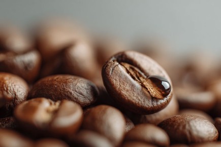 ������ ���������� ������: �����, �������� ��