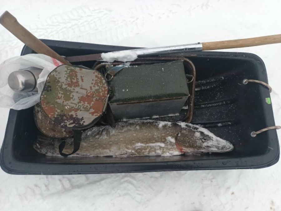 Сезон зимней рыбалки в разгаре: тверские рыболовы показали улов Сезон зимней рыбалки в разгаре: тверские рыболовы показали улов