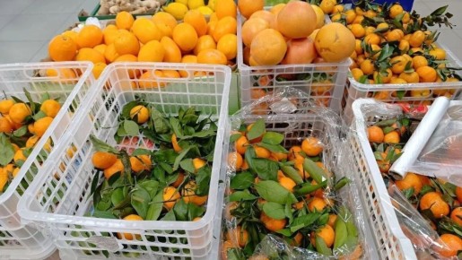 ���-3 ����� ���������� �� ���������